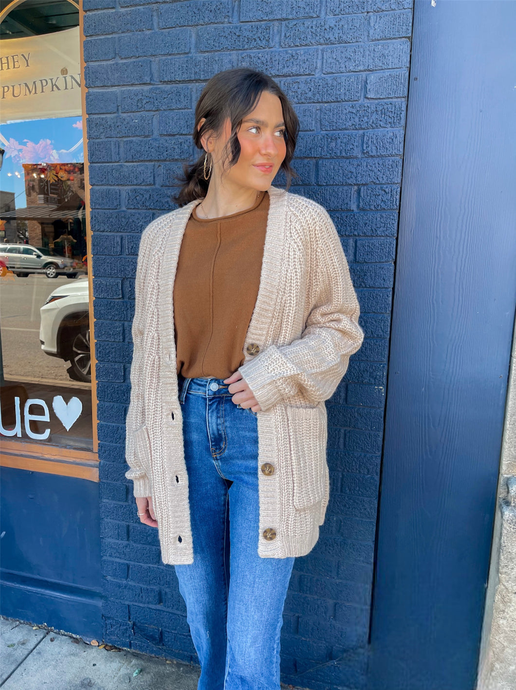 Oversized Chunky Cardigan // 2 colors