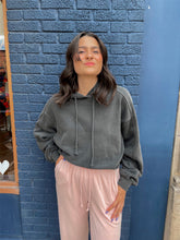 Load image into Gallery viewer, LW Fleece Hoodie//3 Colors
